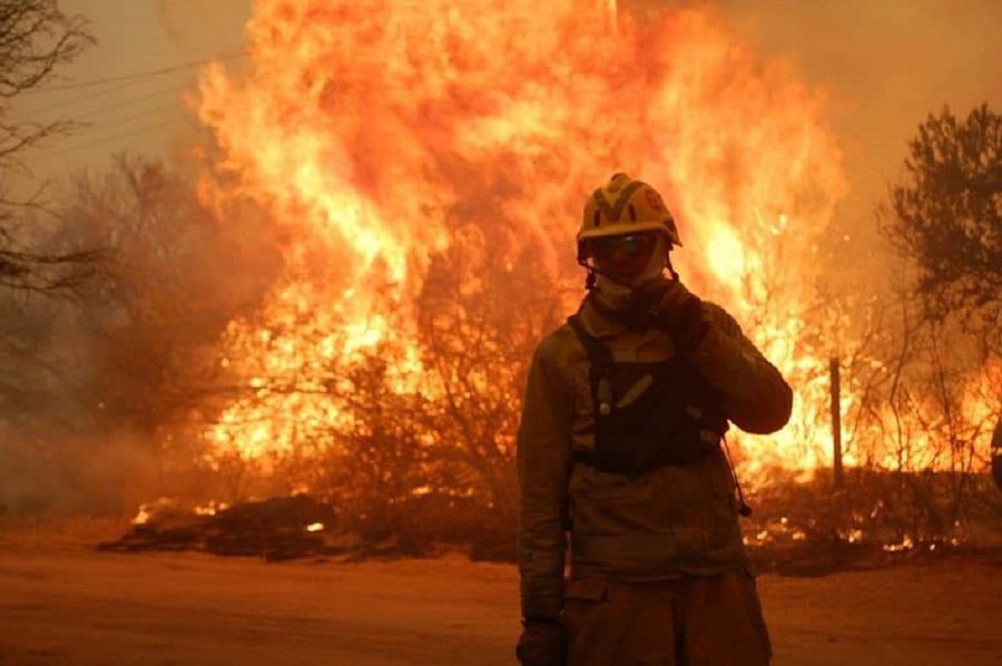 Environmental disaster in Argentina: forest fires devastate thousands of hectares