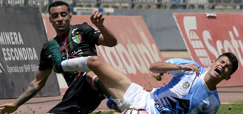 antofagasta-palestino