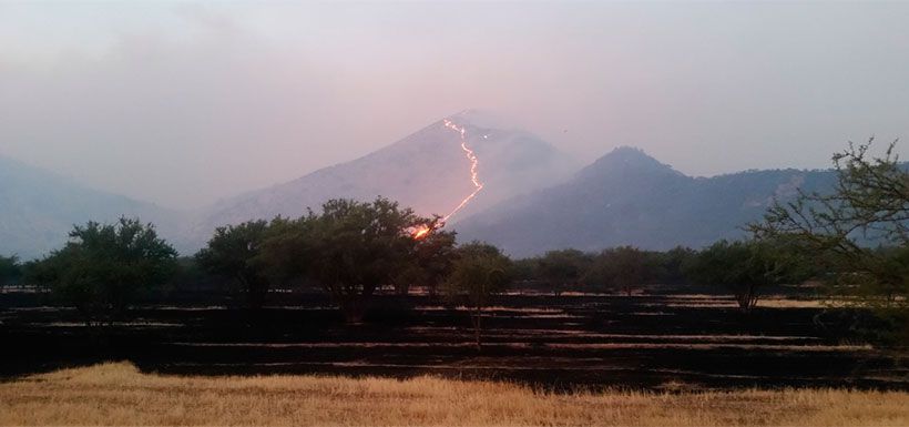 incendio-santuario