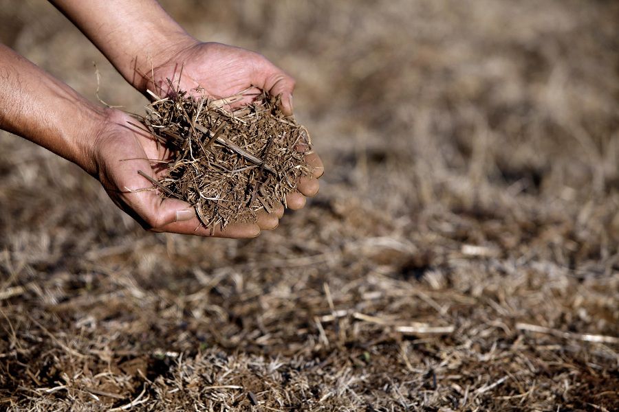 CAÑETE:  Sequia en la provincia del Bio Bio