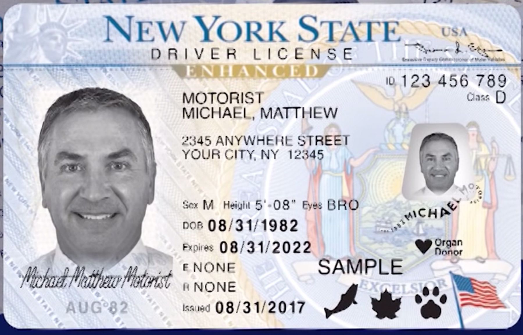 nyc driver license types