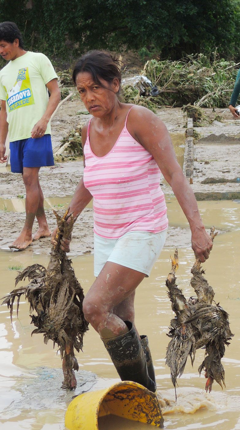 Crecida de ríos arrasa casas y cultivos en zonas de Quinindé Ecuador