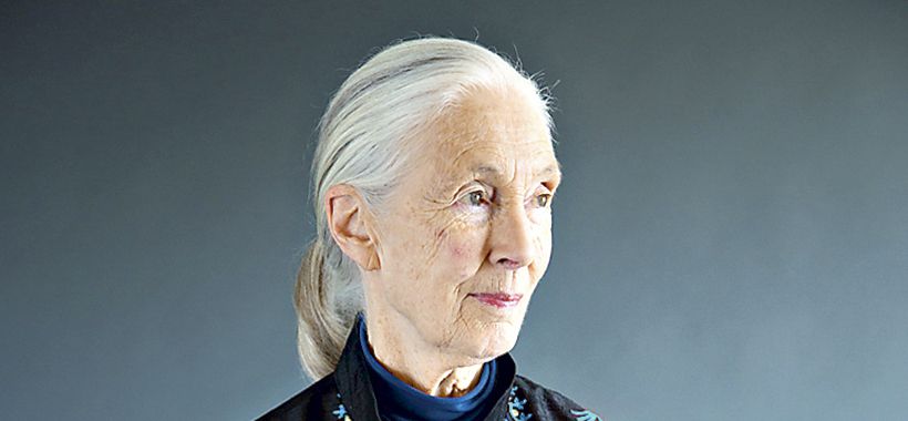 janegoodallweb