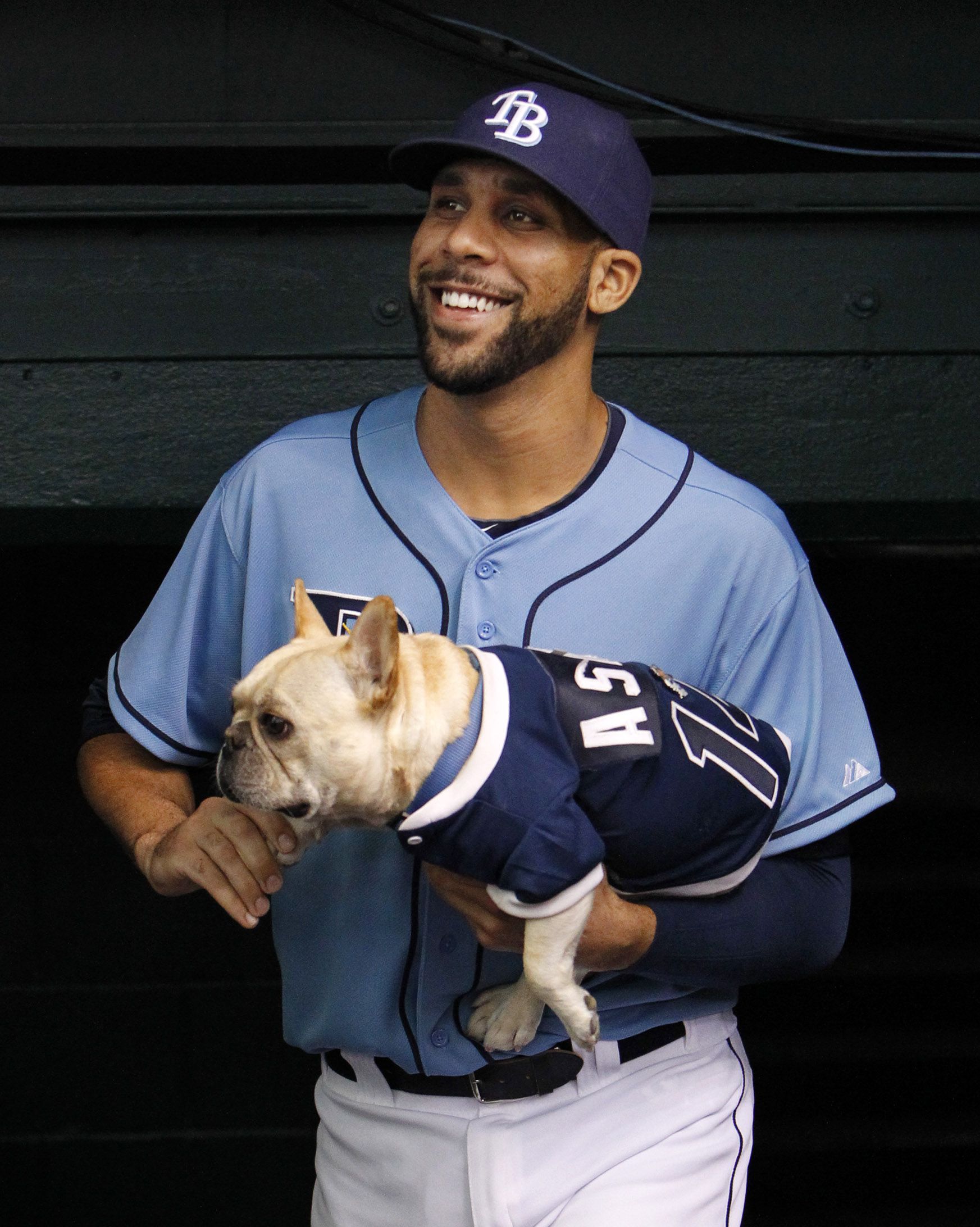 David Price's beloved French bulldog has died: Five things to know about  Astro