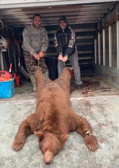 My First Kill Today In SRP and my first rare black bear : r/theHunter