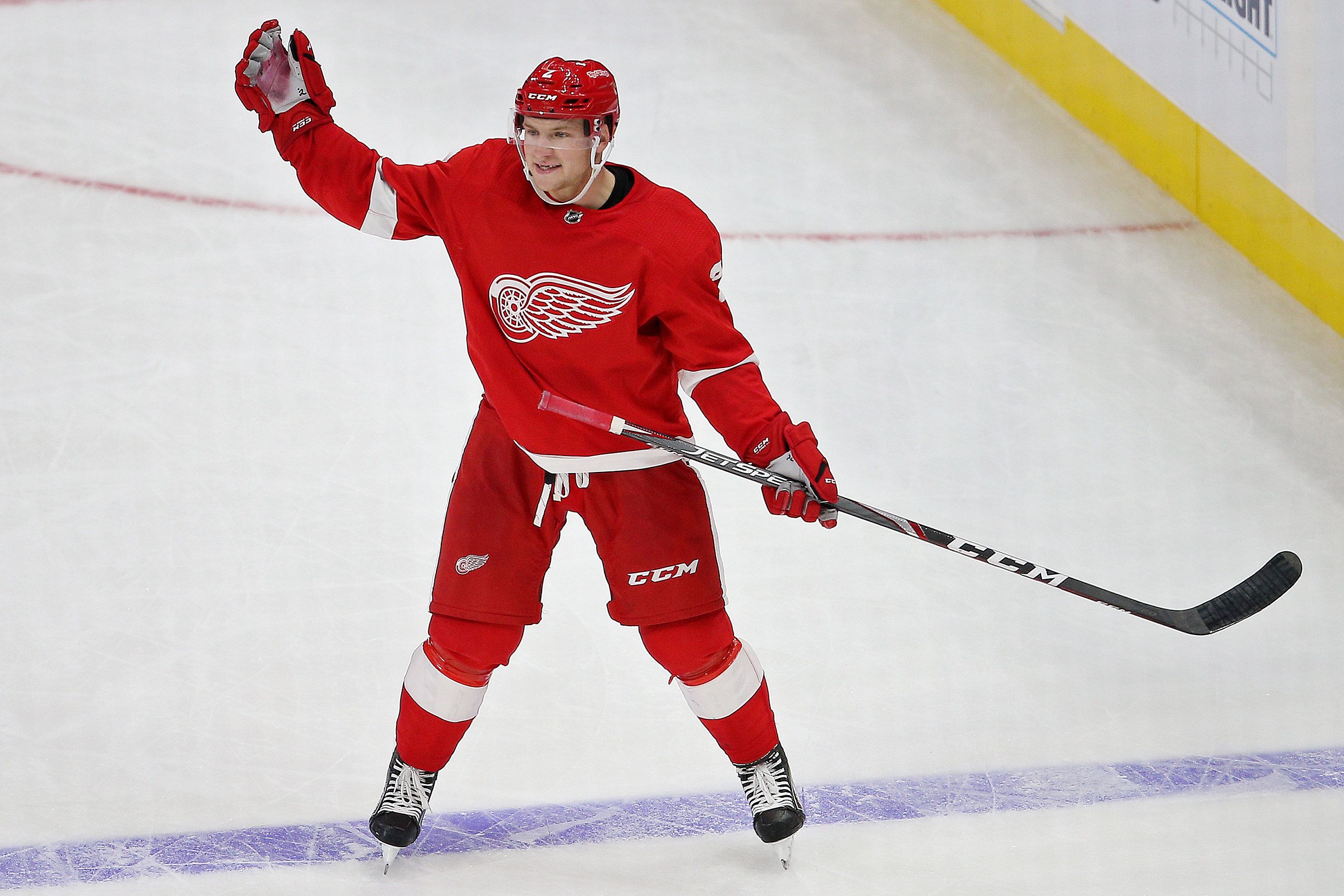 Detroit Red Wings Depth Chart 2016