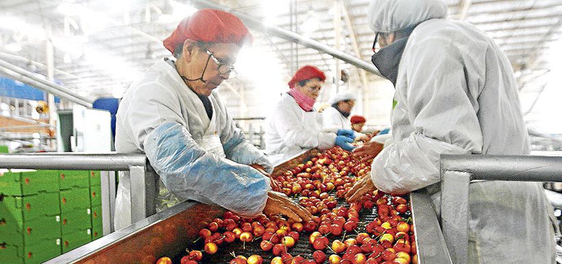 importación fruta Chile