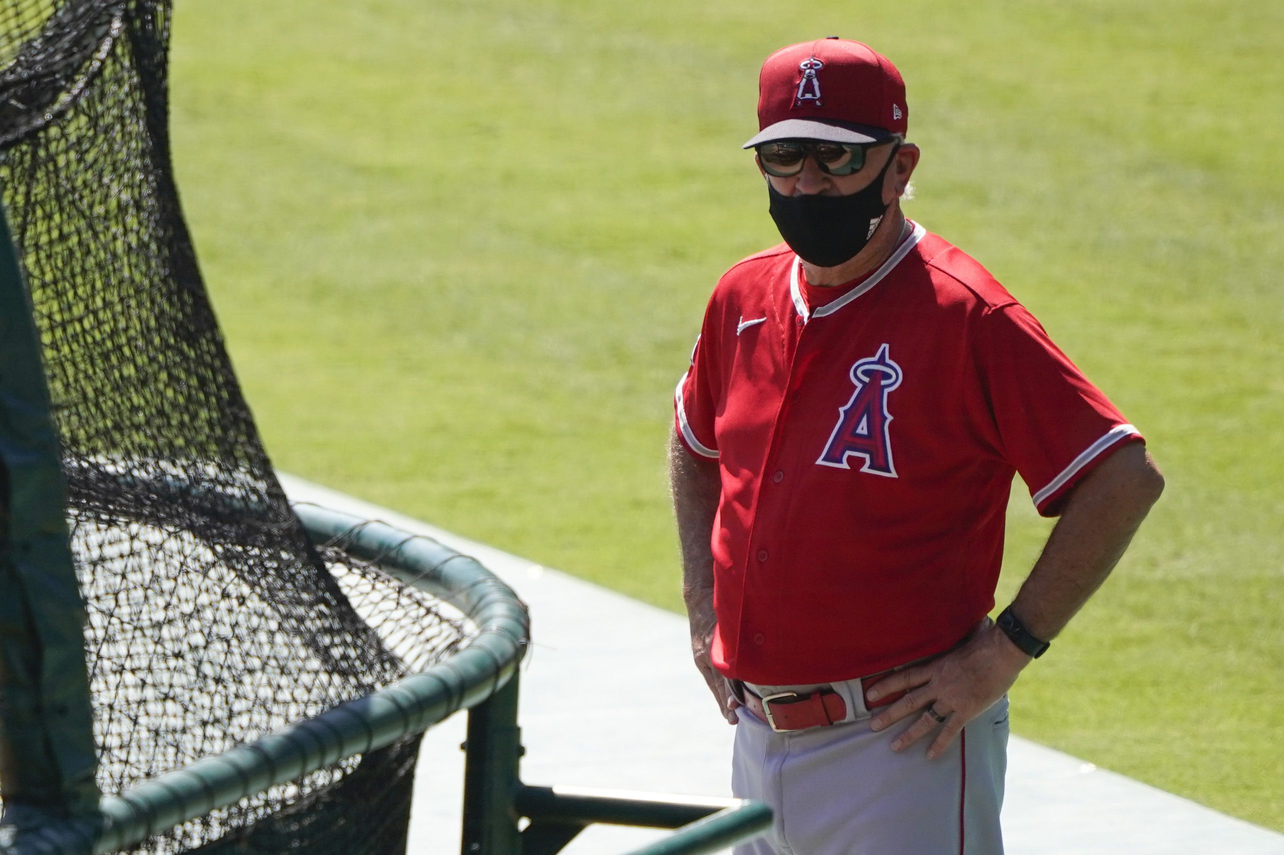 Joe Maddon doesn't expect Mike Trout, Angels players to opt out of