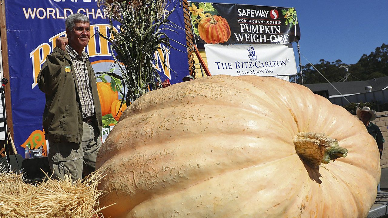 The Caverns sets cave pumpkin record for Halloween show - WDEF