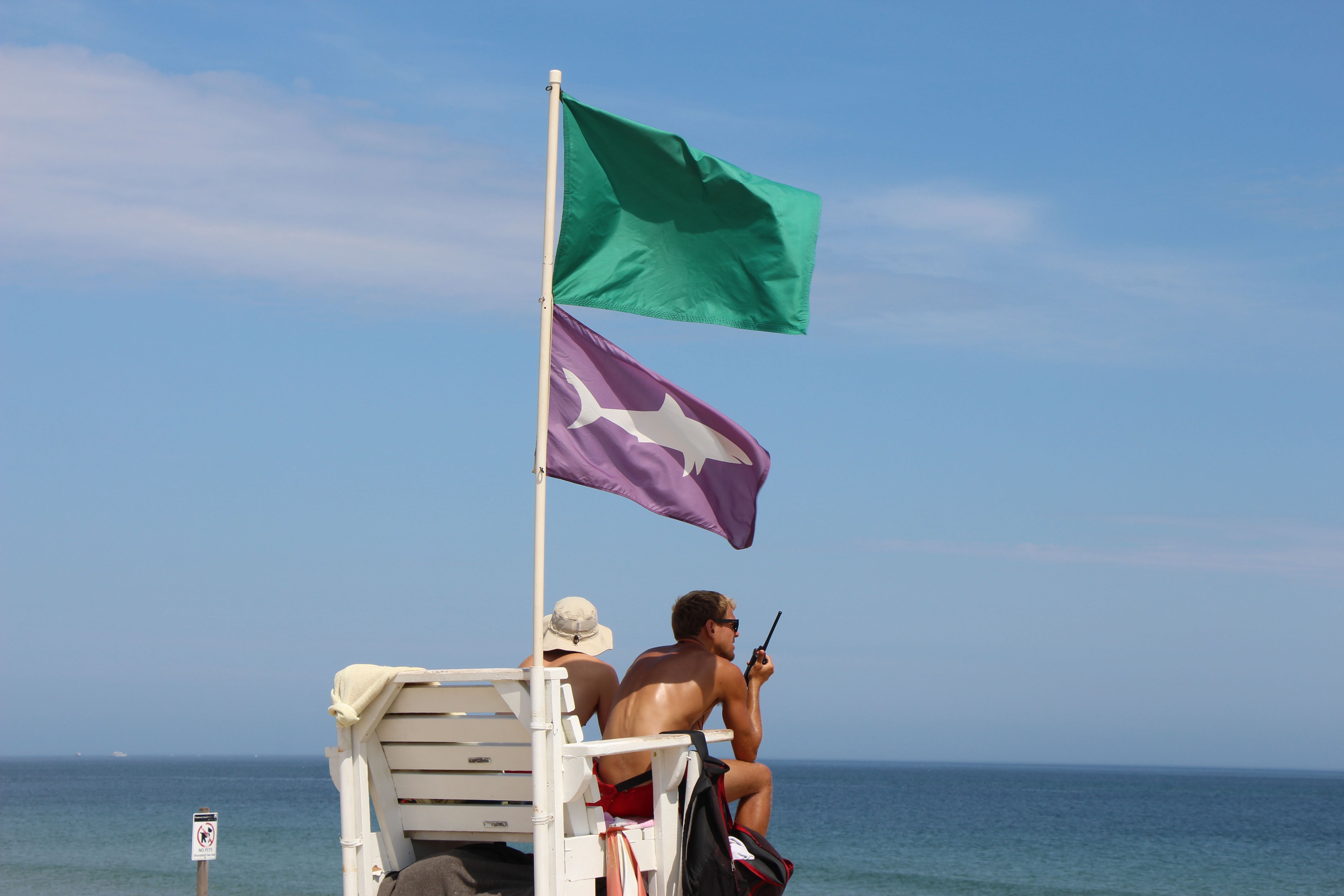 beach flag purple