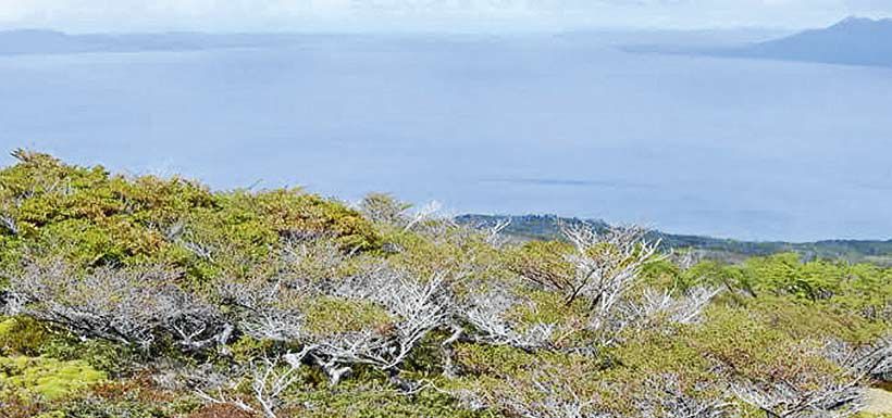 Punta Arenas