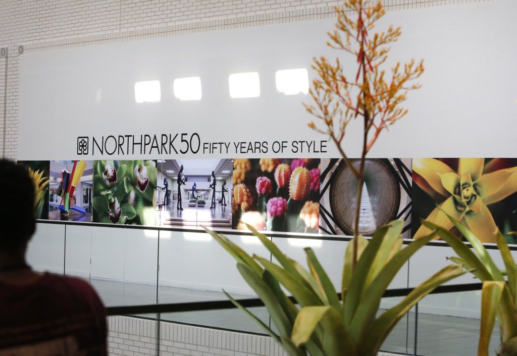 Nancy Nasher Shares a Collecting Legacy at NorthPark Center