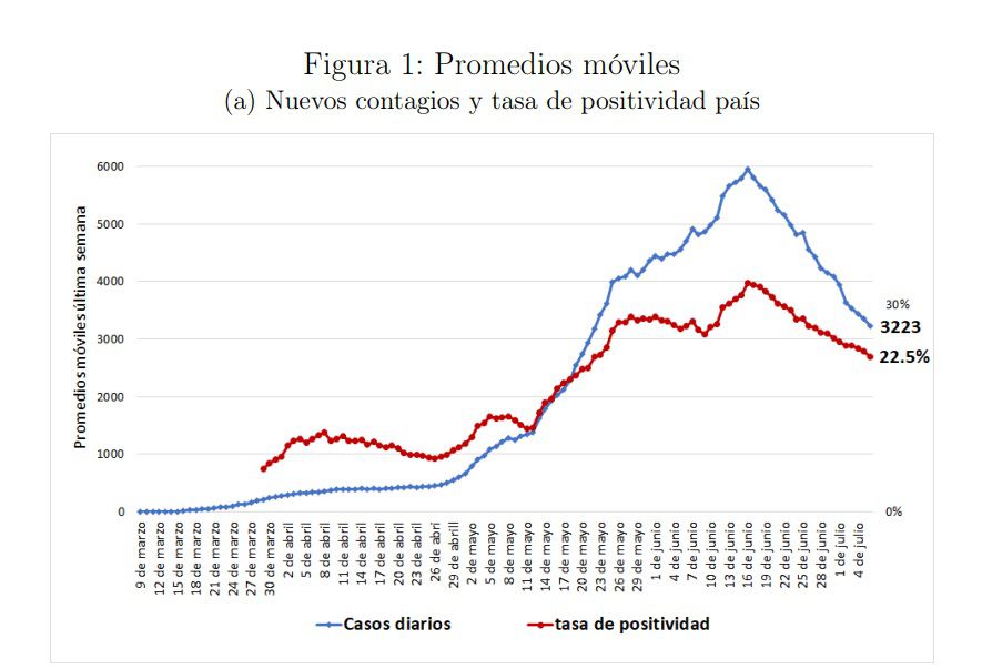 Grafico