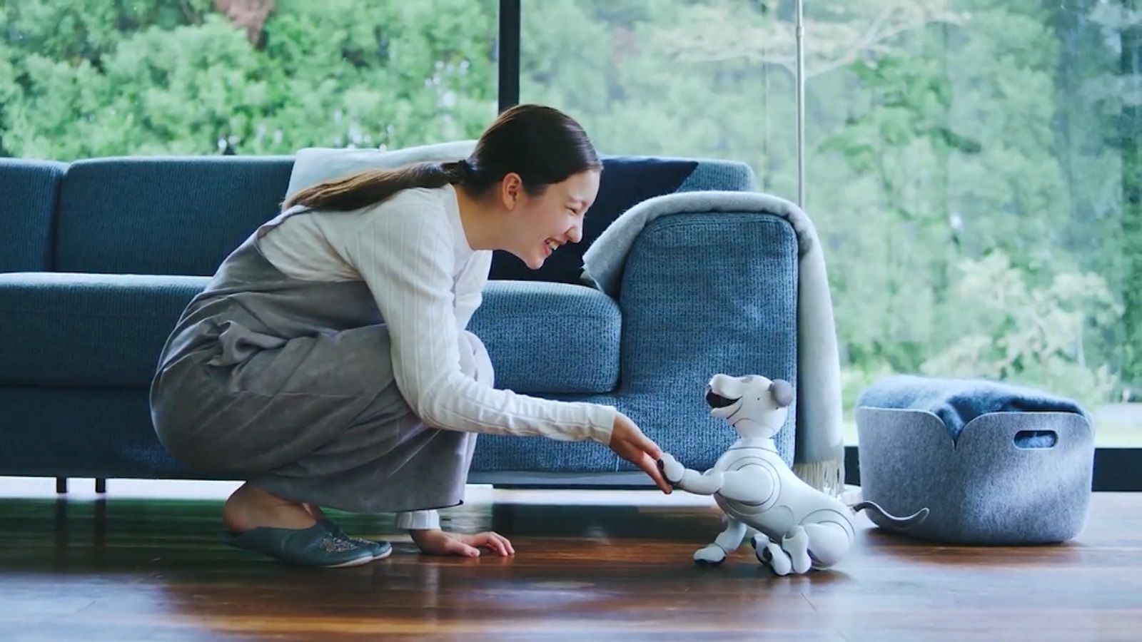 Sony's robot dog Aibo is headed to the US for a cool $2,899 - The