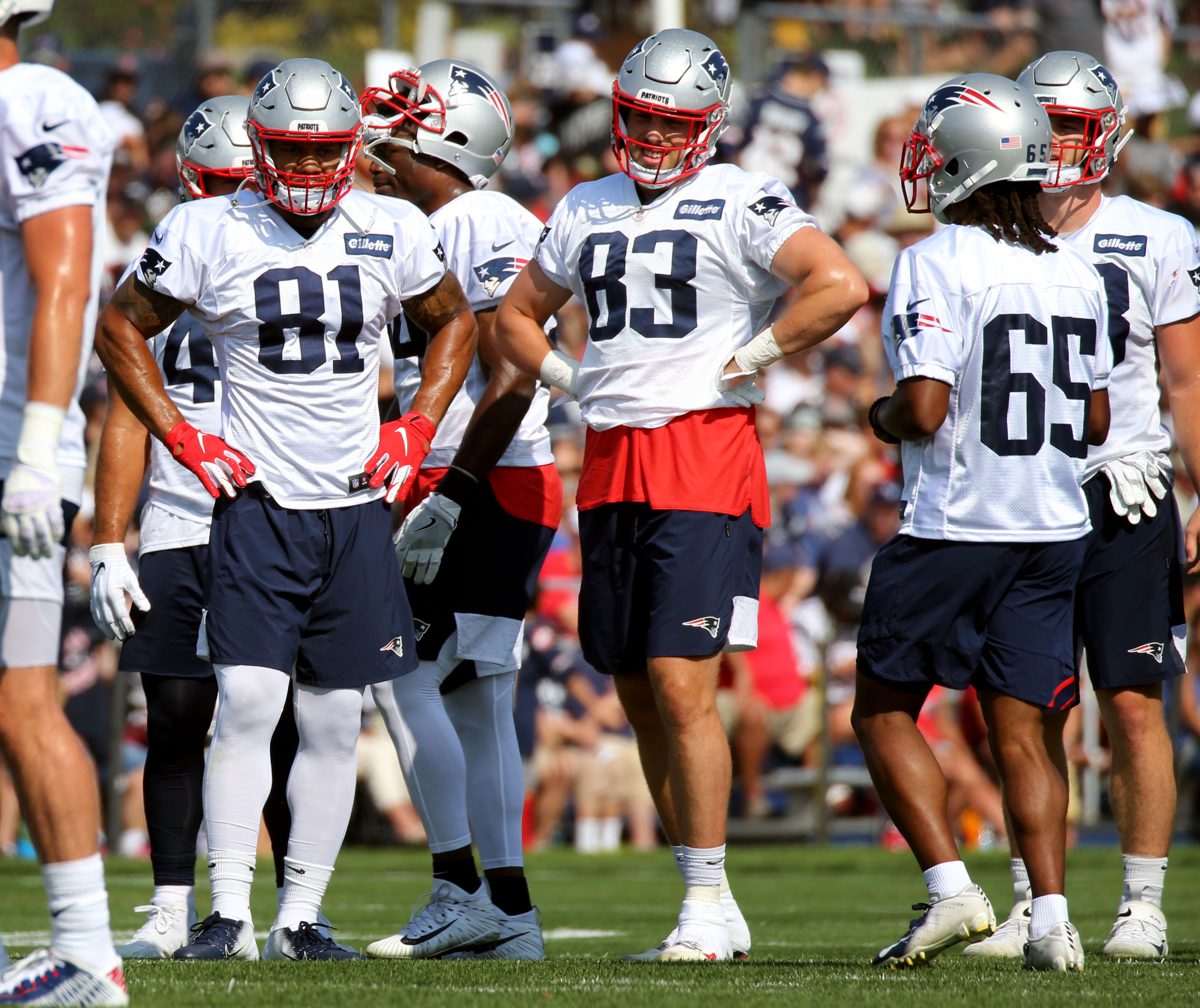 Patriots tight end Ben Watson sounds as if he's calling it a career - The  Boston Globe