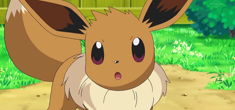 eevee