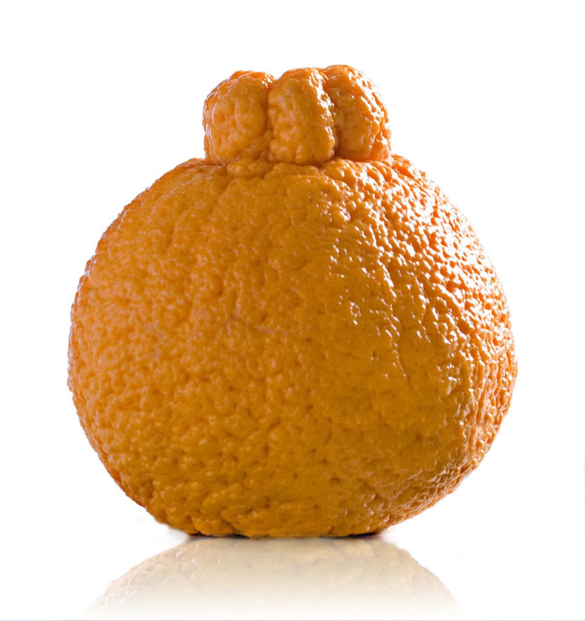 What's the Big Deal About Sumo Oranges?
