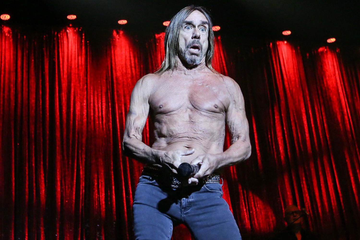 Iggy-Pop-ok.jpg