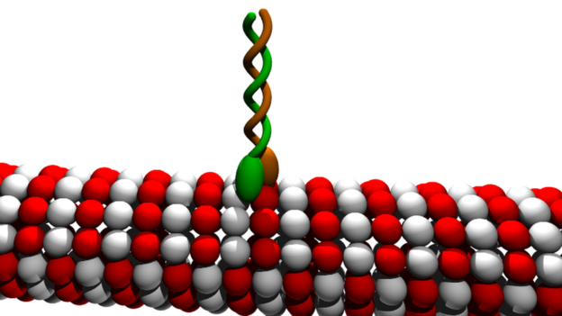 94013836_kinesin_cartoon.png