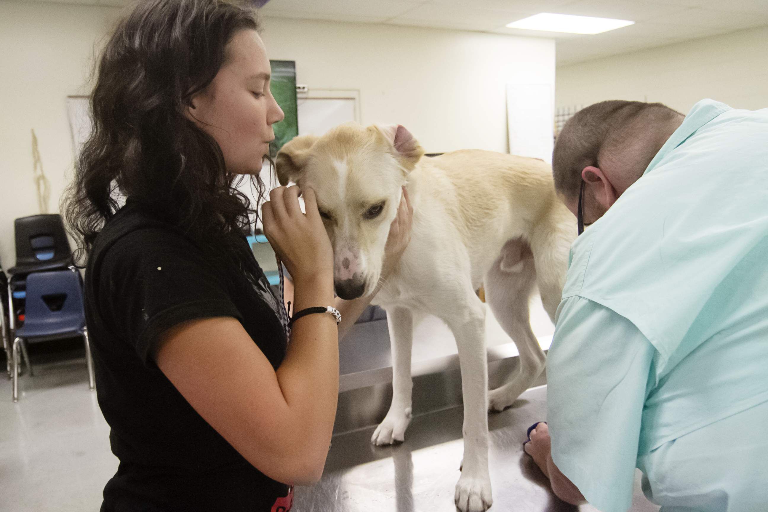 Spa and day care for dogs give Hudson High students a leg up on veterinary  care