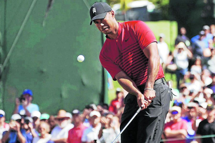 TIGER WOODS