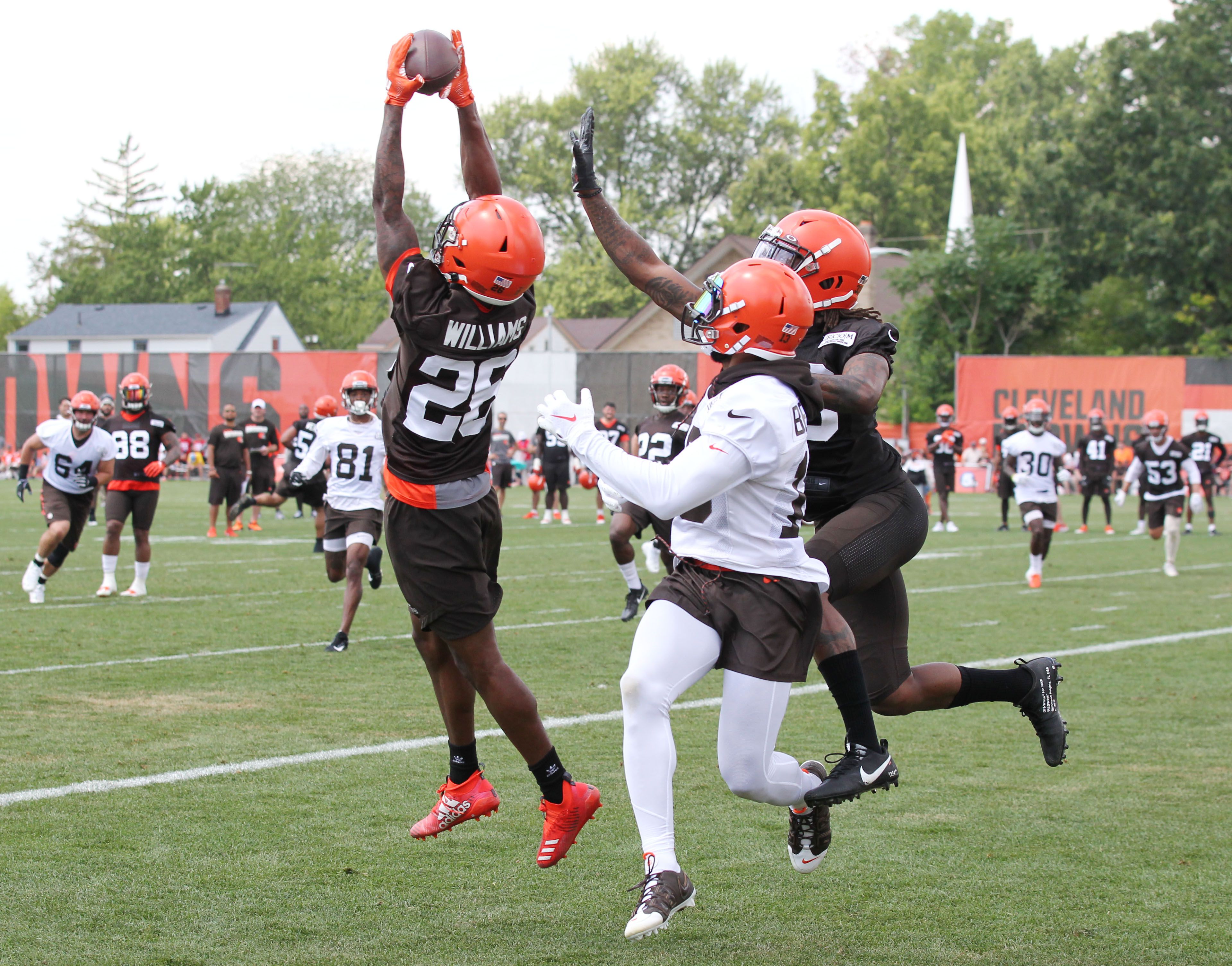 Cleveland Browns' Damon Sheehy-Guiseppi scores touchdown in latest