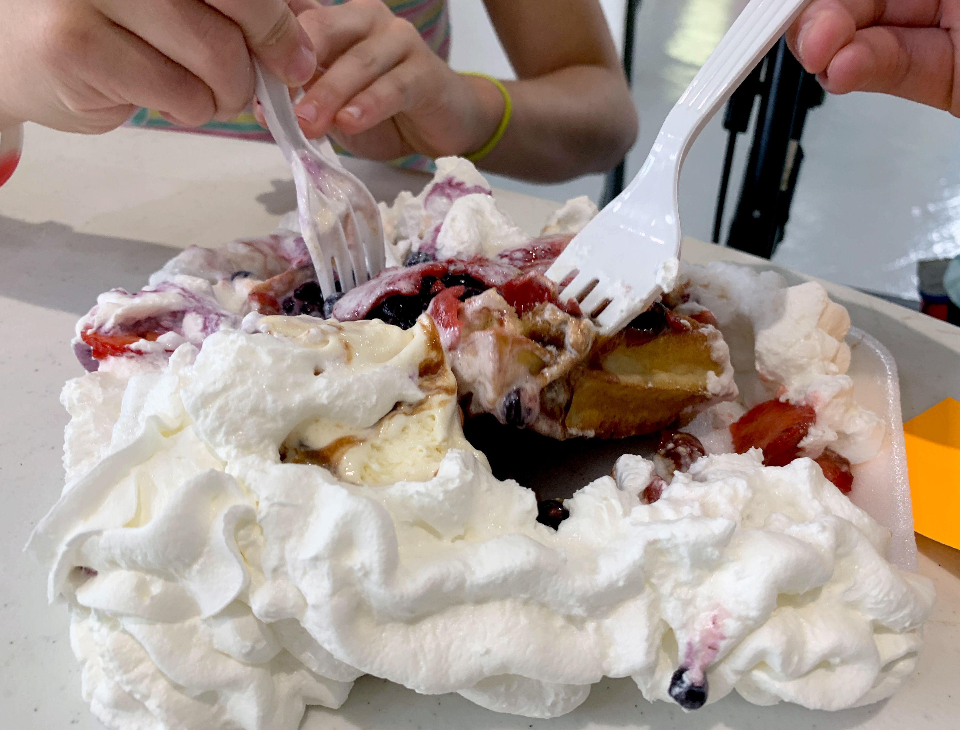 NYS Fair foods: Scotty's Famous Tater Twisters, Poultry-Dairy Row (2015  review) 