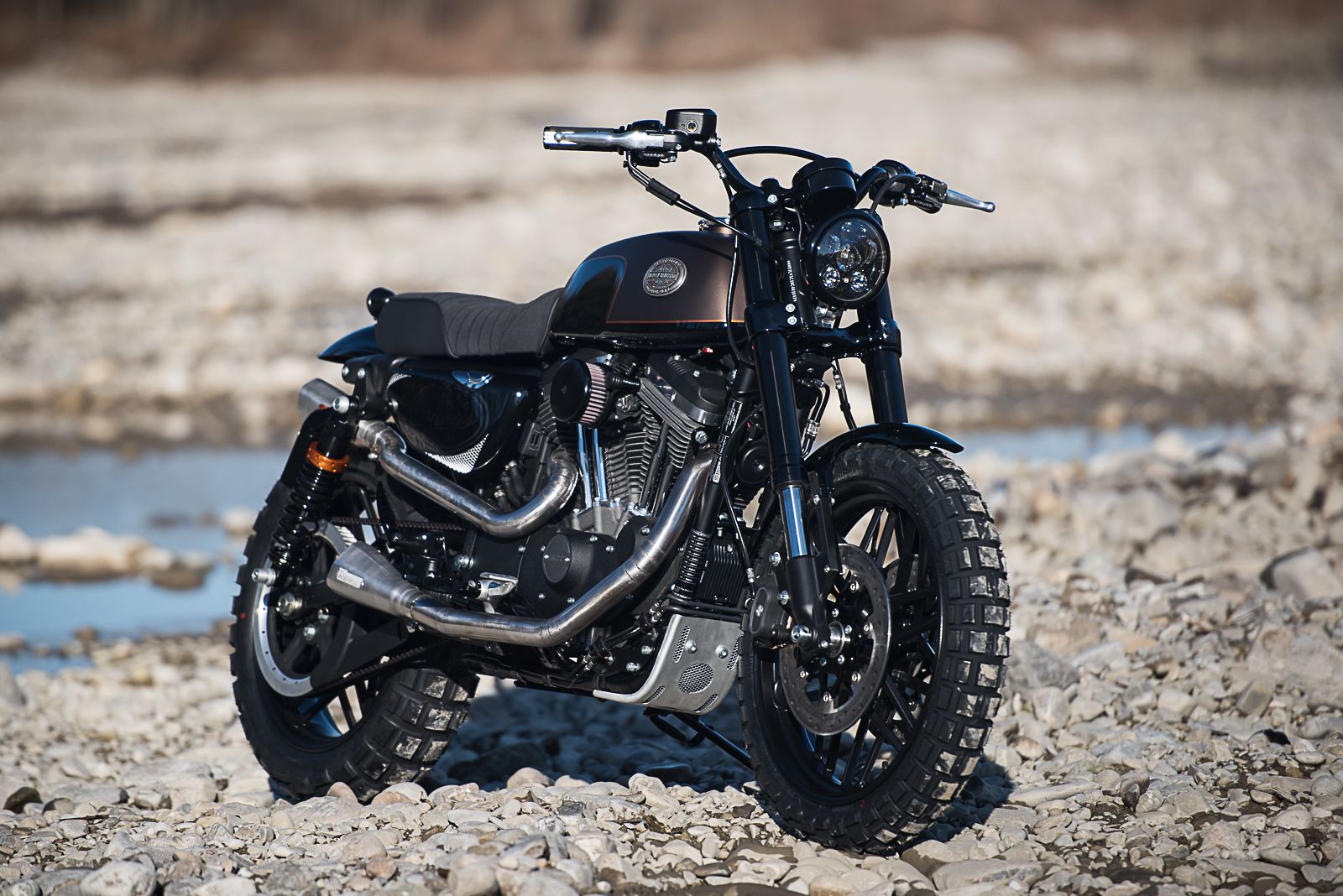 Harley roadster hot sale scrambler