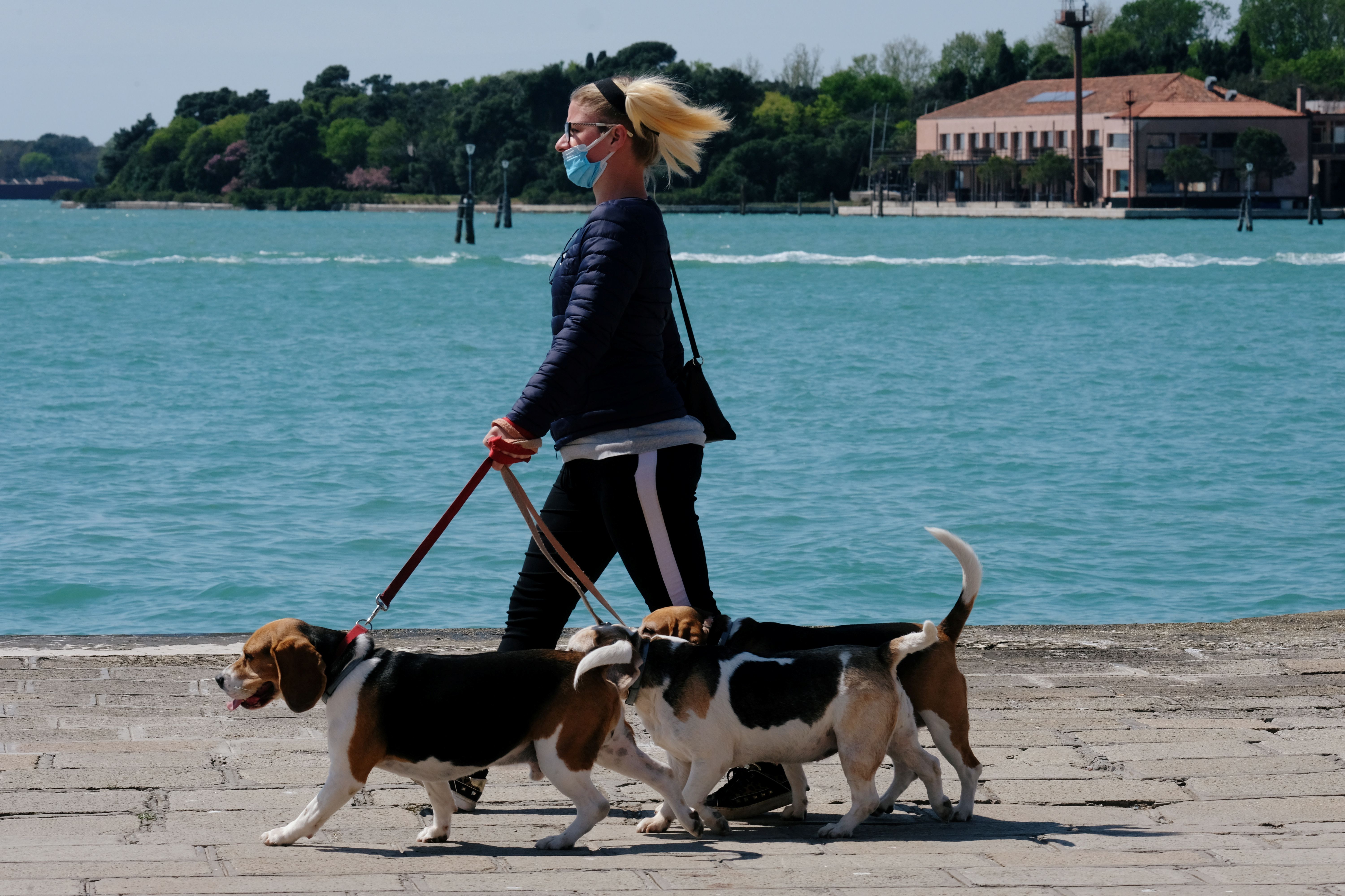 A woman with a protective mask and her dogs are seen in Venice as Italy's lockdown measures continue to prevent the spread of coronavirus disease (COVID-19)