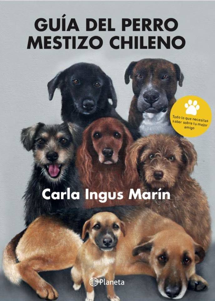 GUIA-DEL-PERRO-MEZTIZO-PORTADAS-02.jpg