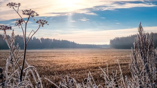 bbc-finlandia.jpg