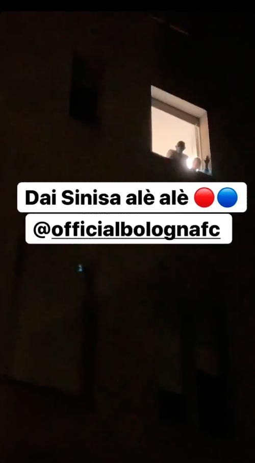 mihailovic-medel.jpg