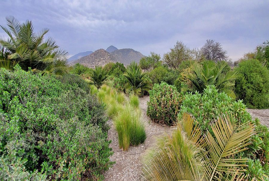 parque quilapilun