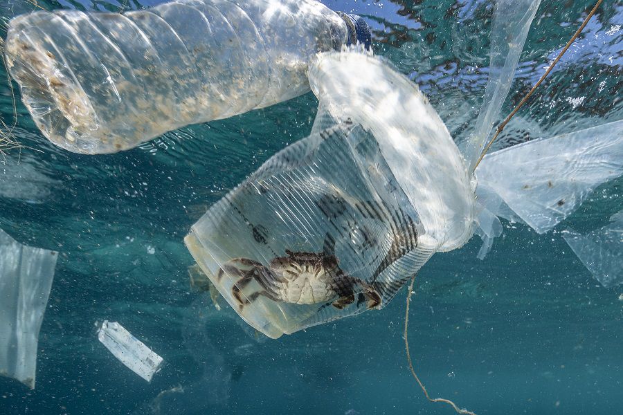 Plastic Waste in Verde Island, Philippines