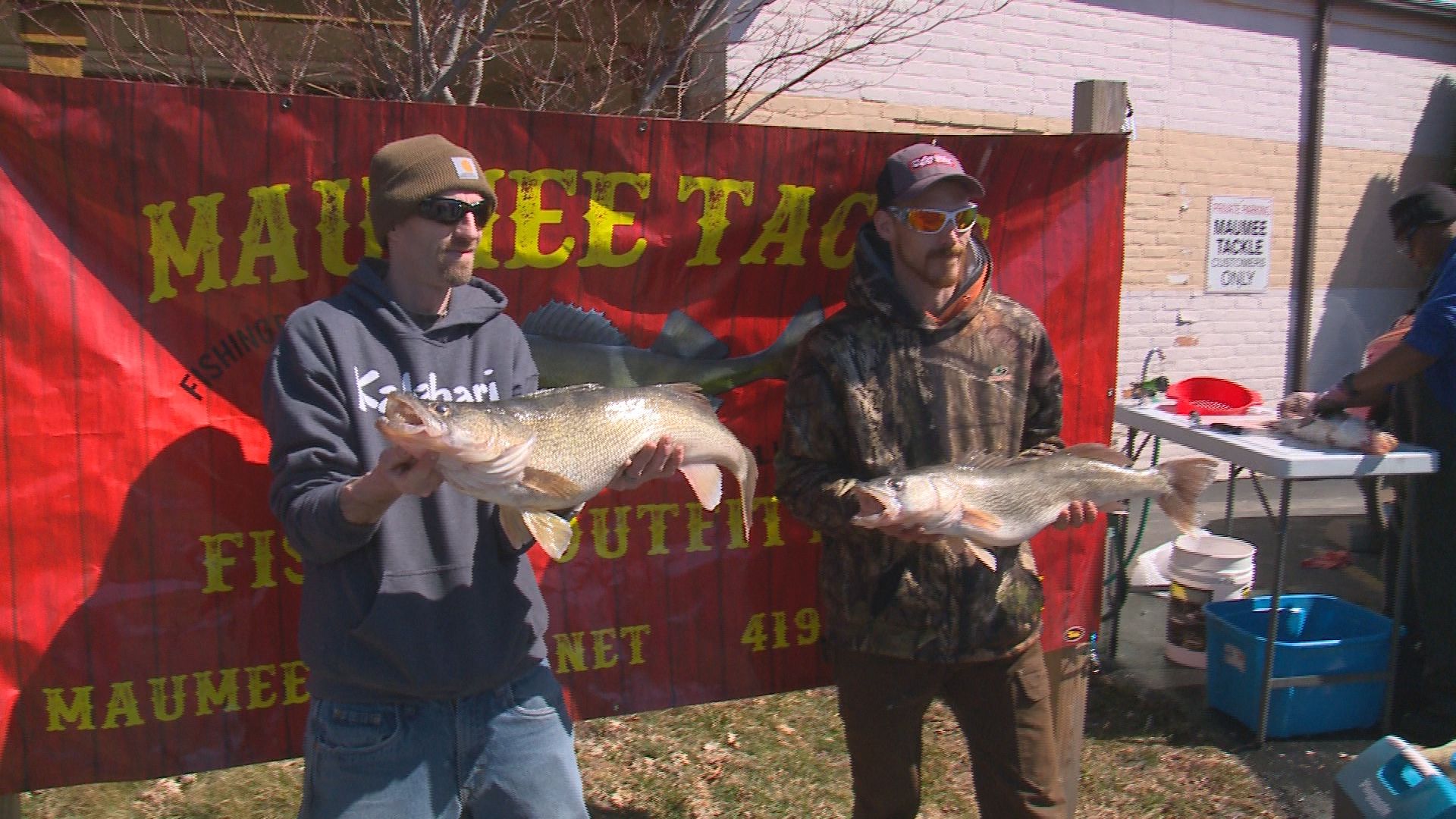 Maumee River walleye run is off to a big start