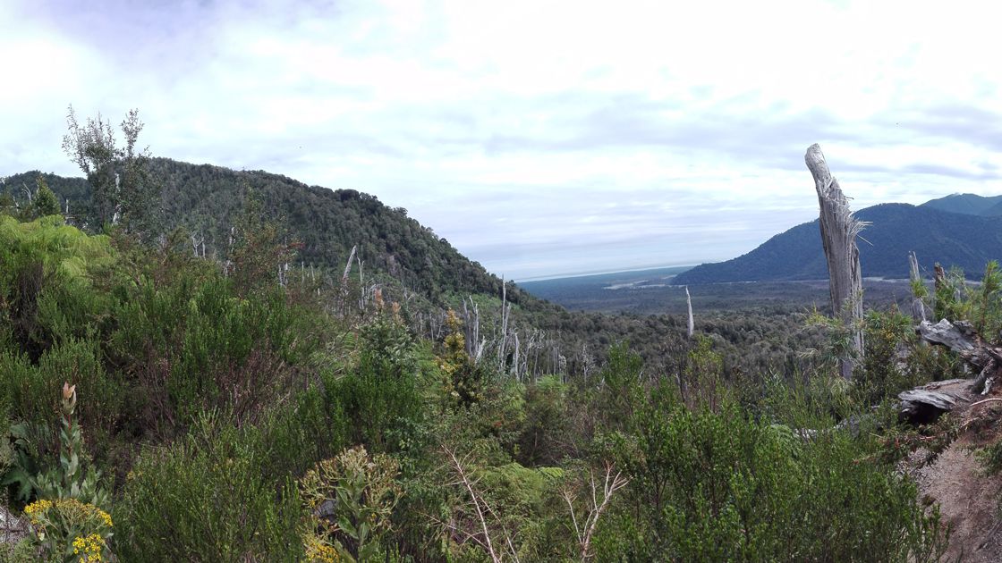 Parque Pumalín