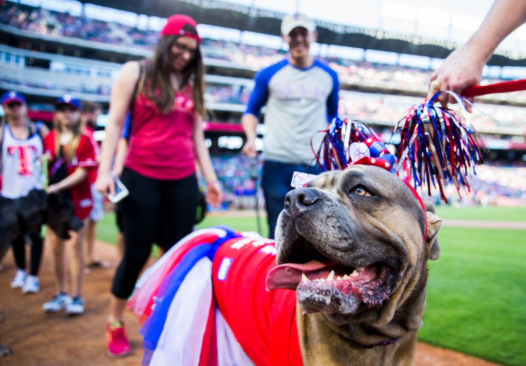 Texas Rangers Bark at the Park is Next Saturday