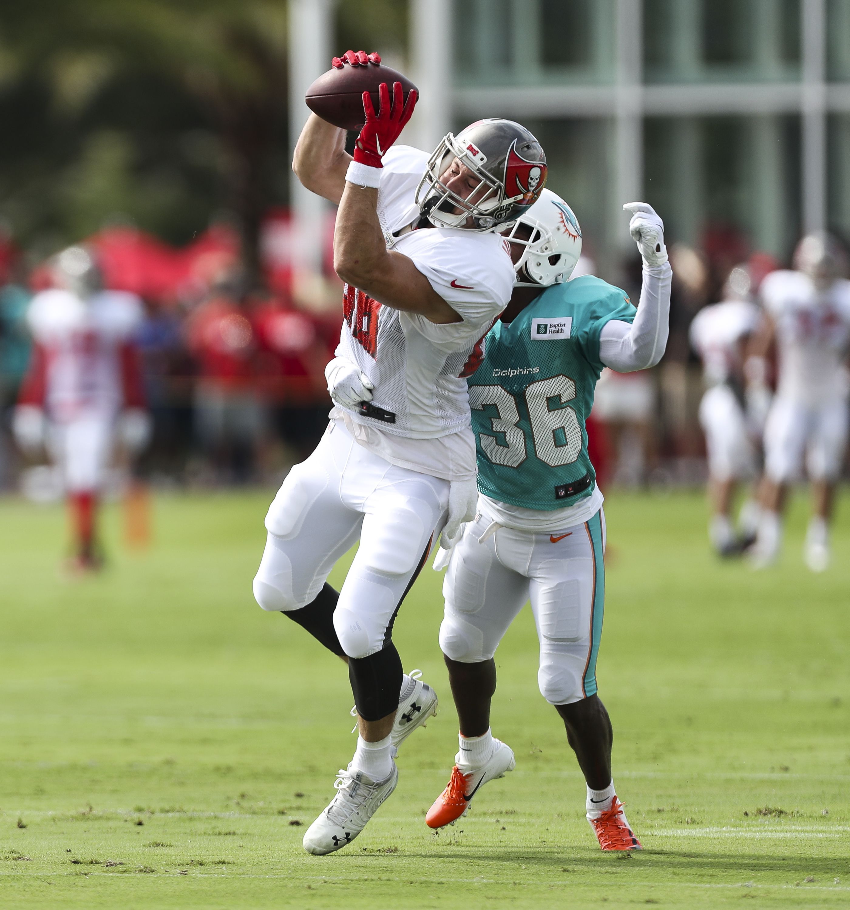 Miami Dolphins vs Tampa Bay Buccaneers