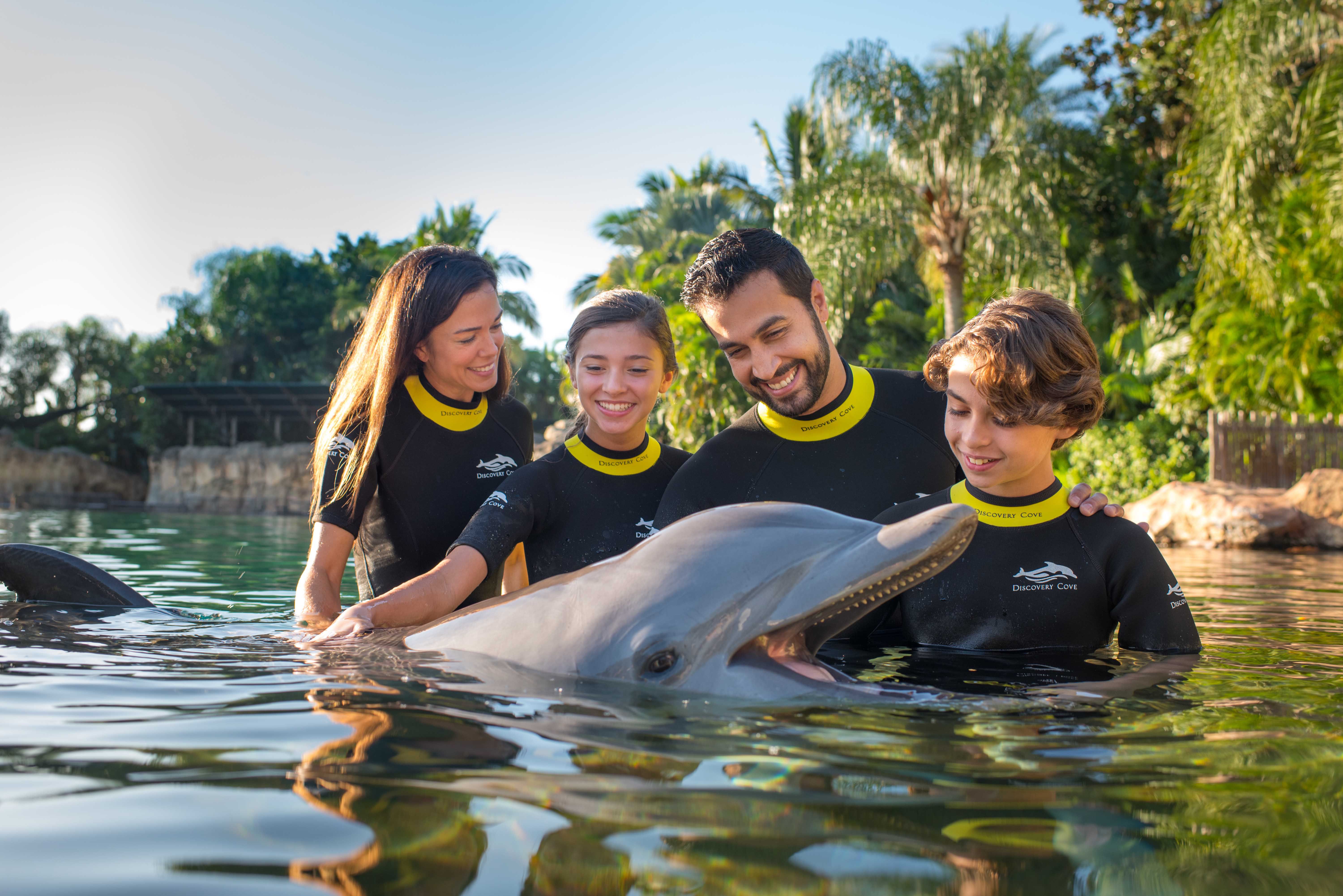 Swim with sharks, dolphins at this Florida resort 