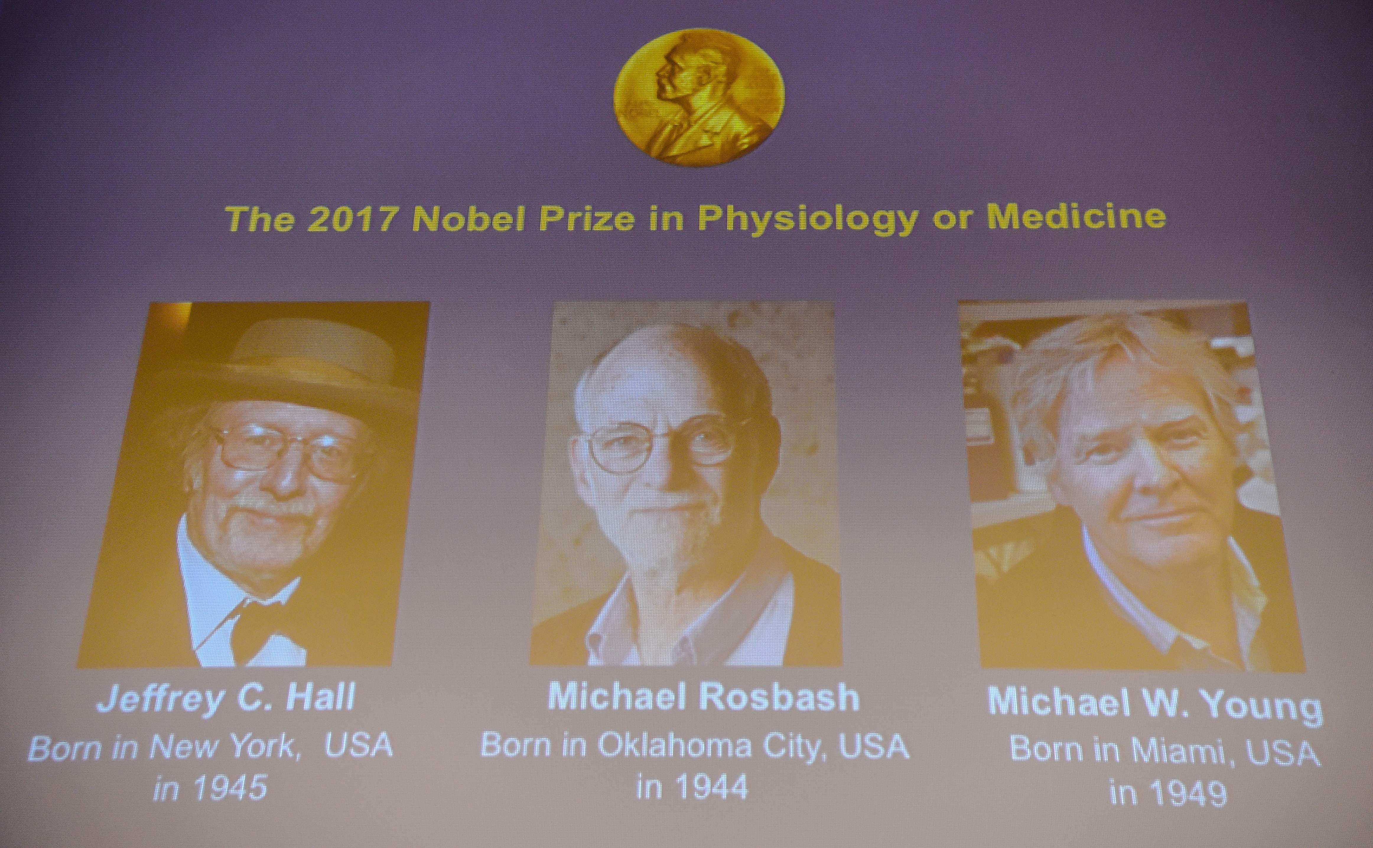 Winners of the 2017 Nobel Prize in Physiology or Medicine (L-R) US tr