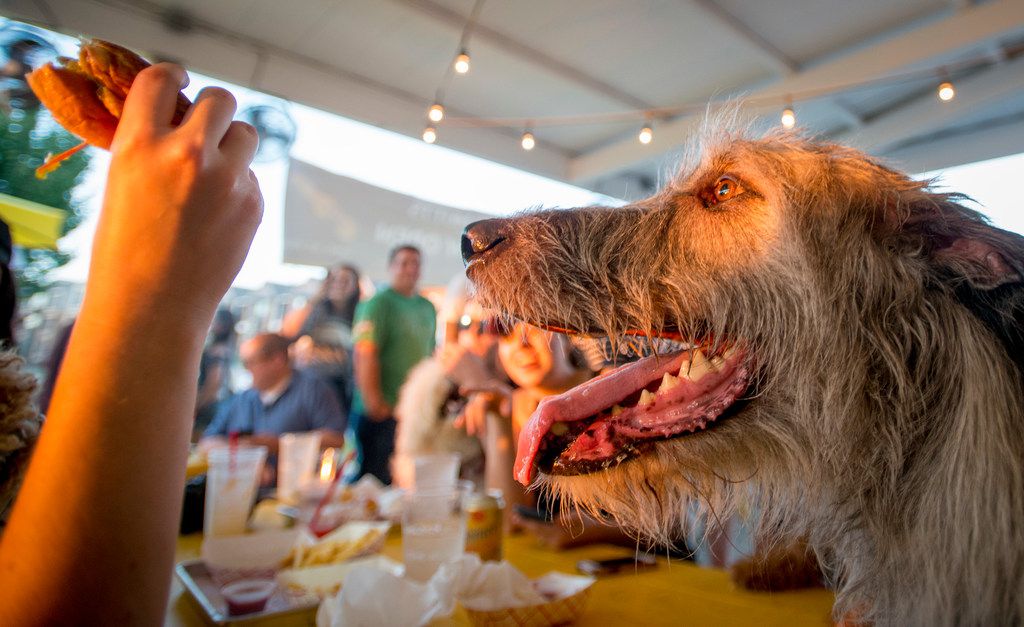 se permiten perros en trinity groves