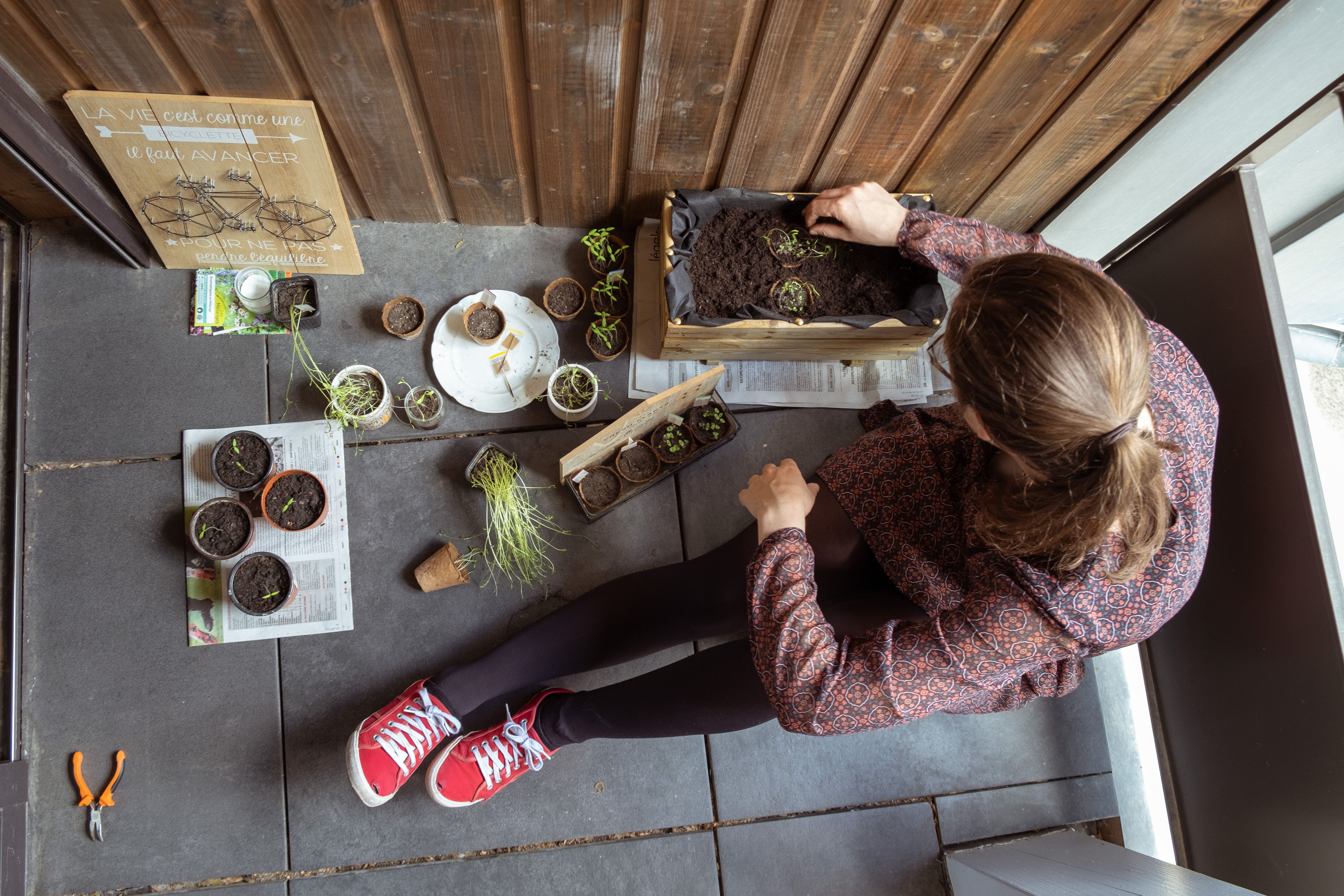 FRANCE - HOBBY - APARTMENT GARDENING