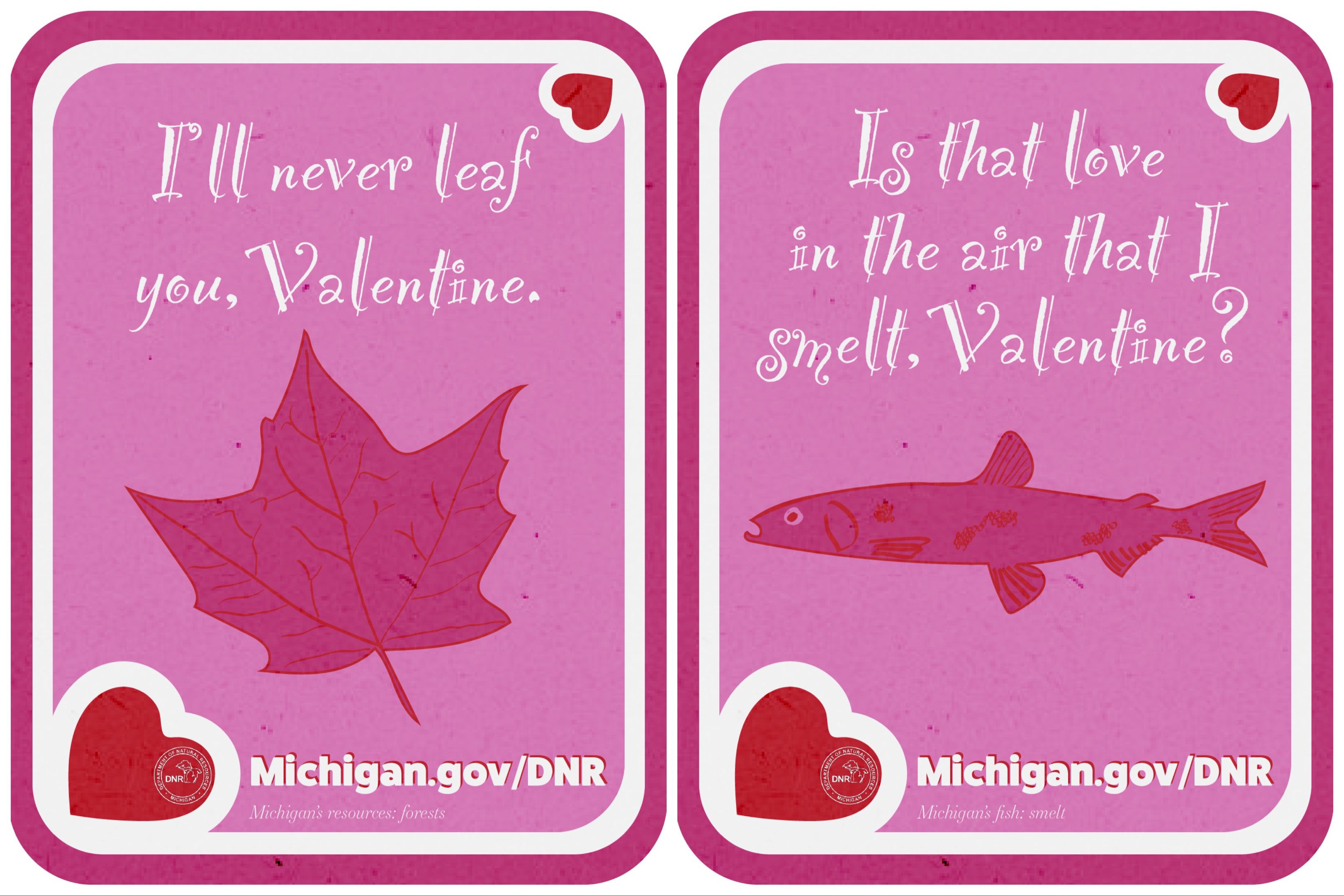 DNR releases 'pun-derful' Valentine's Day cards for sharing