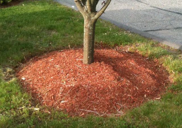 You've probably been given bad mulching advice. Here's what we know now