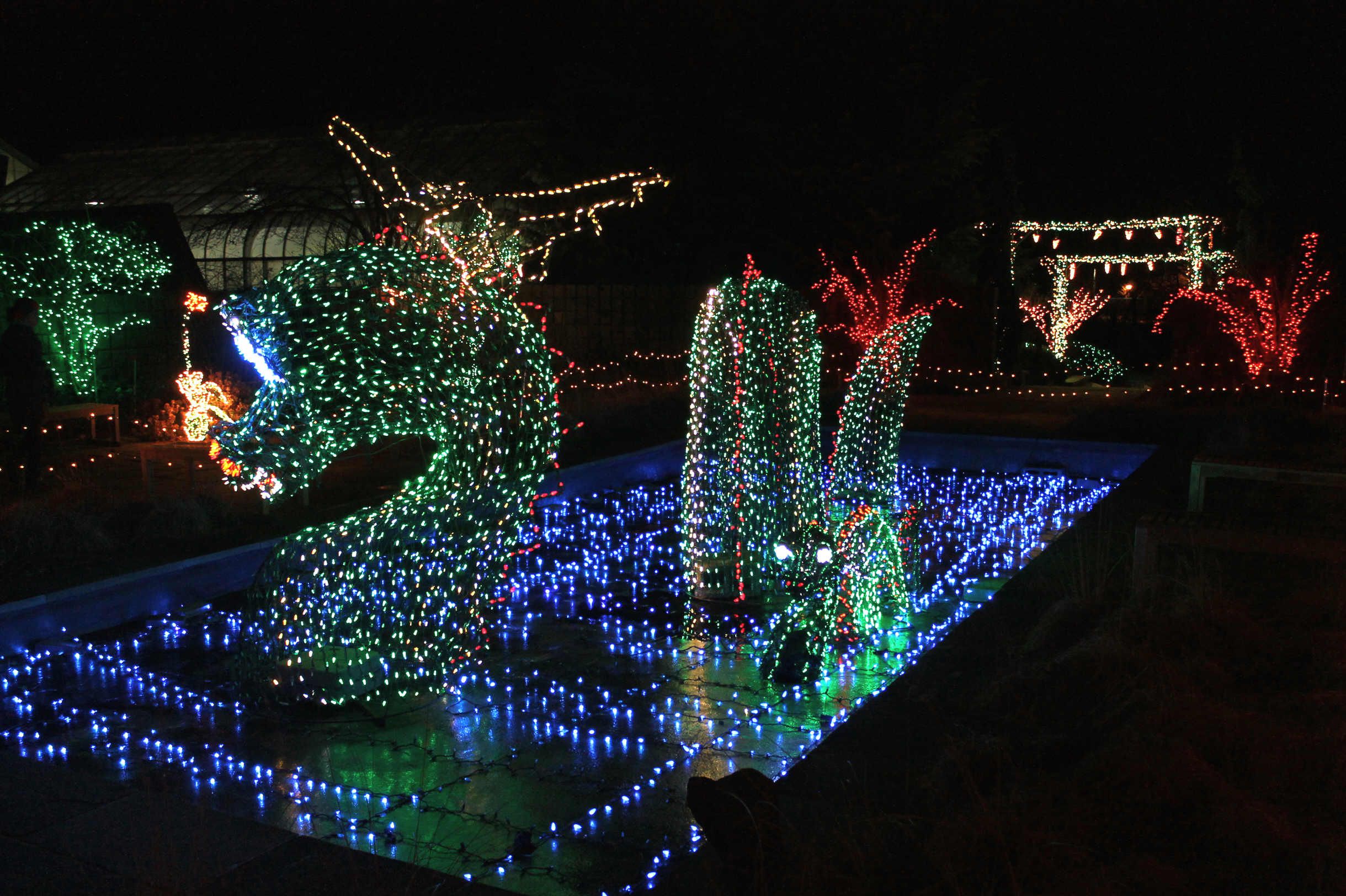 38+ Brookside Gardens Christmas Lights 2021