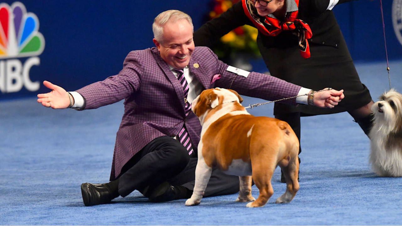 who won the dog show 2019