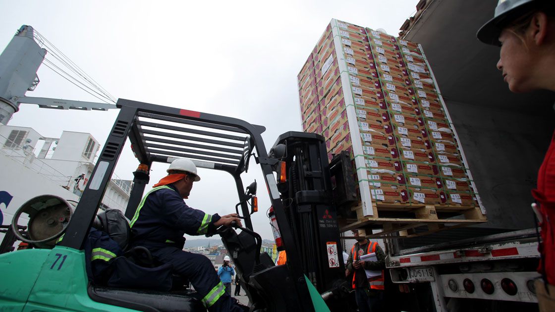 Puerto de Valparaíso retoma embarque de fruta