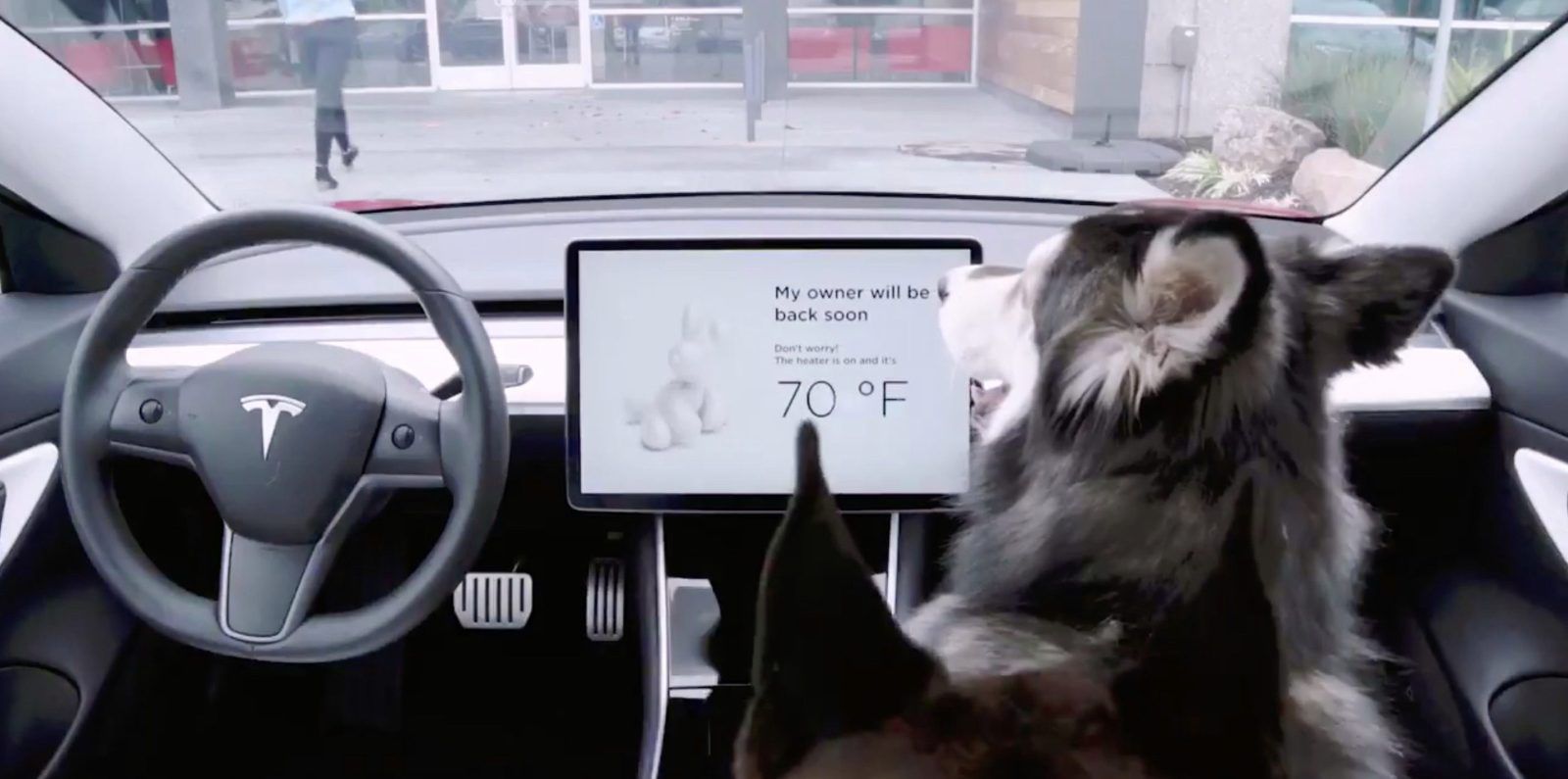 Tesla-Dog-Mode-e1550115247208.jpg