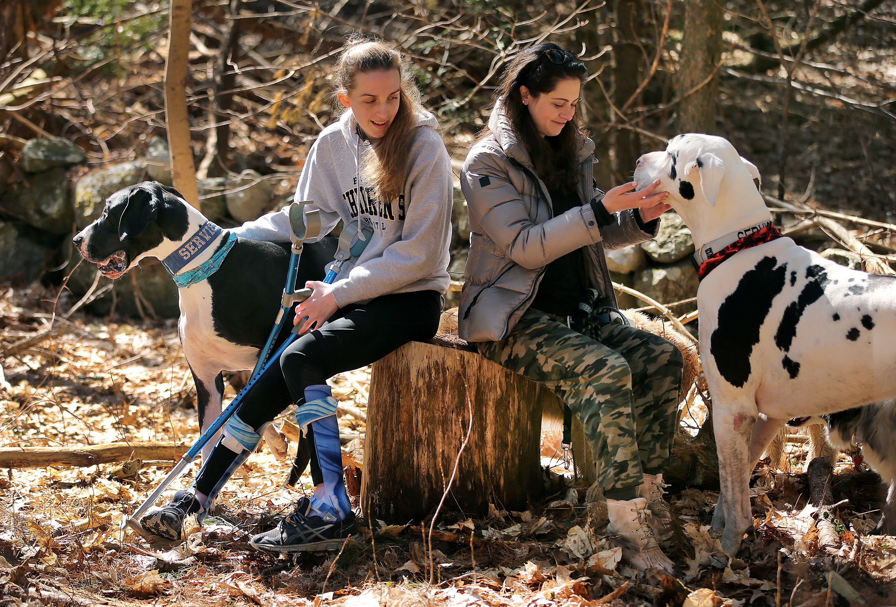 With a service dog at her side, Milford girl is one cool kid - The Boston  Globe