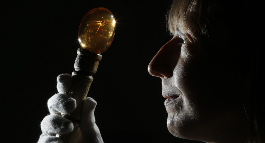 Amber Exhibition in Edinburgh